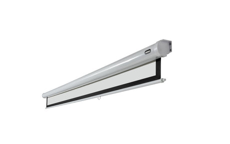 celexon Projector screen Manual Economy