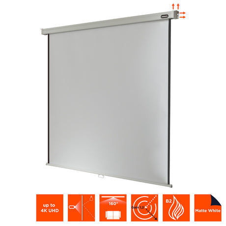 celexon Projector screen Manual Professional