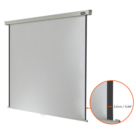 celexon Projector screen Manual Professional