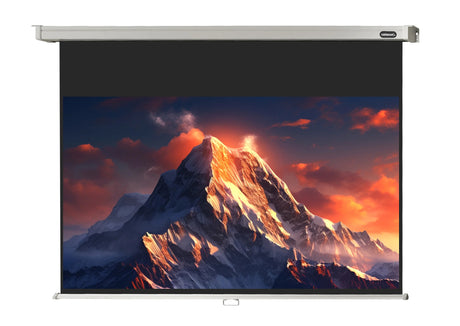 celexon Projector screen Manual Professional