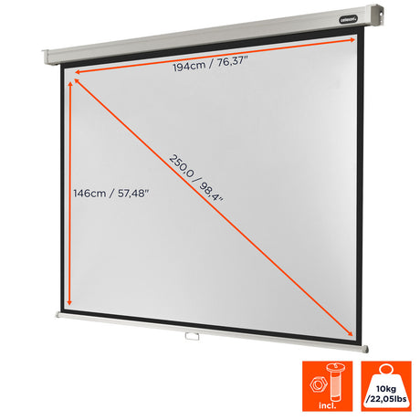 celexon Projector screen Manual Professional