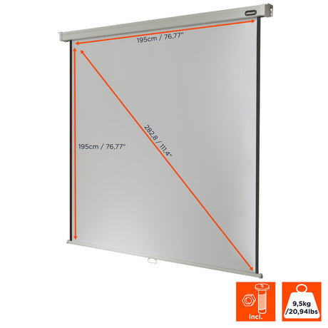 celexon Projector screen Manual Professional