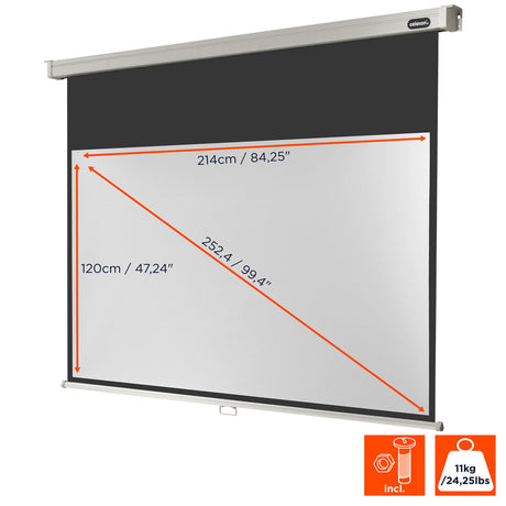 celexon Projector screen Manual Professional