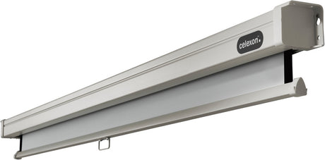 celexon Projector screen Manual Professional