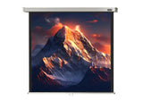 celexon Projector screen Manual Professional