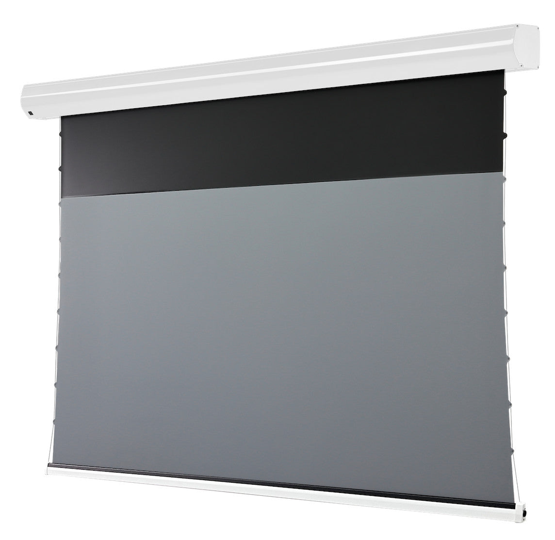 celexon Screen Electric HomeCinema Plus Tension Projector Screen - CLR UST white