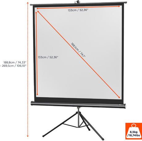 celexon screen Tripod Economy Projector Screen