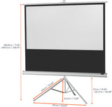 celexon screen Tripod Economy Projector Screen - white edition