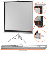 celexon screen Tripod Economy Projector Screen - white edition