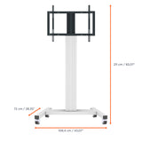 Celexon professional plus display trolley fixed-42100-lp landscape/portrait